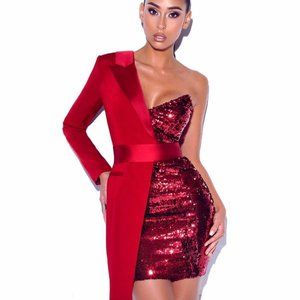 Silver Night One Sleeved Wine Sequin Tuxedo Dress